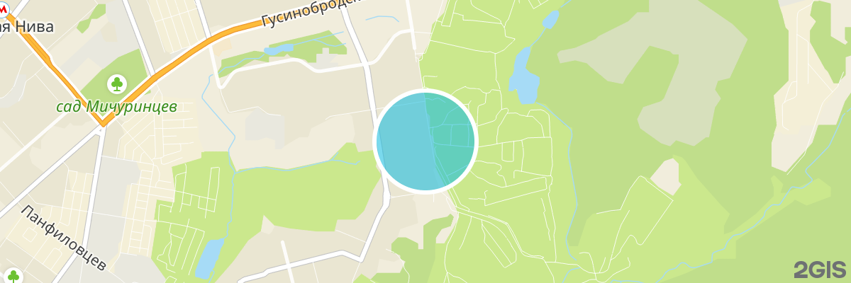 2gis map