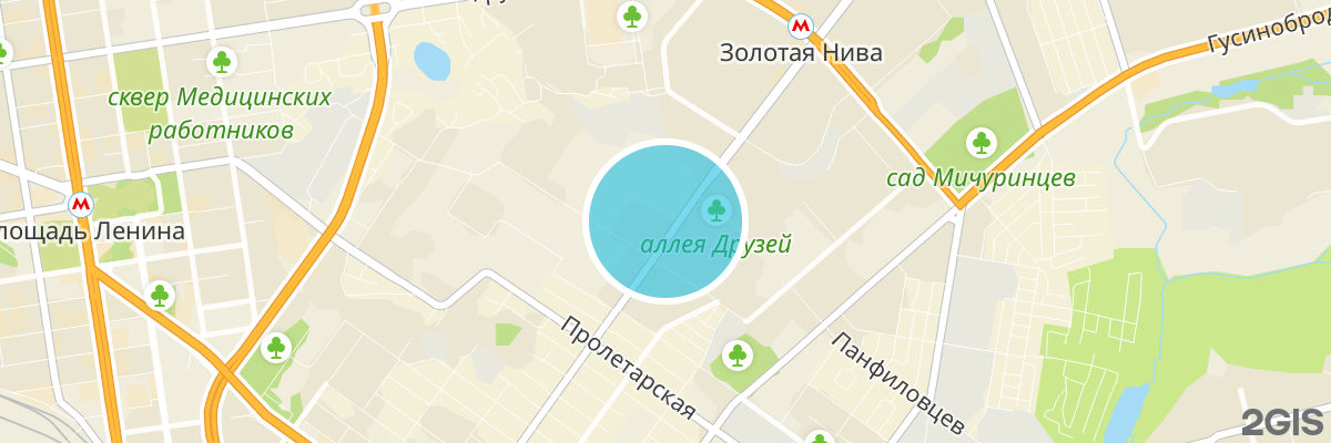 2gis map