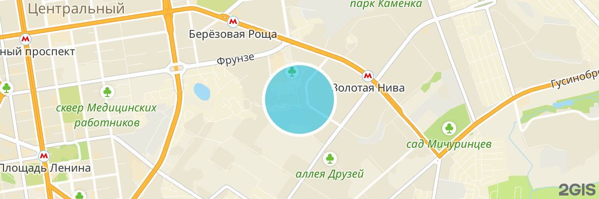 2gis map