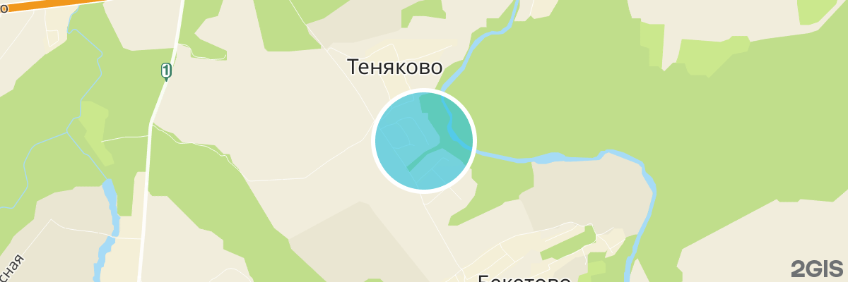 2gis map