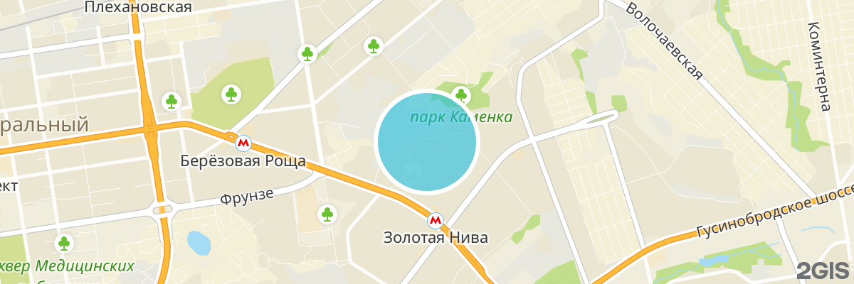 2gis map