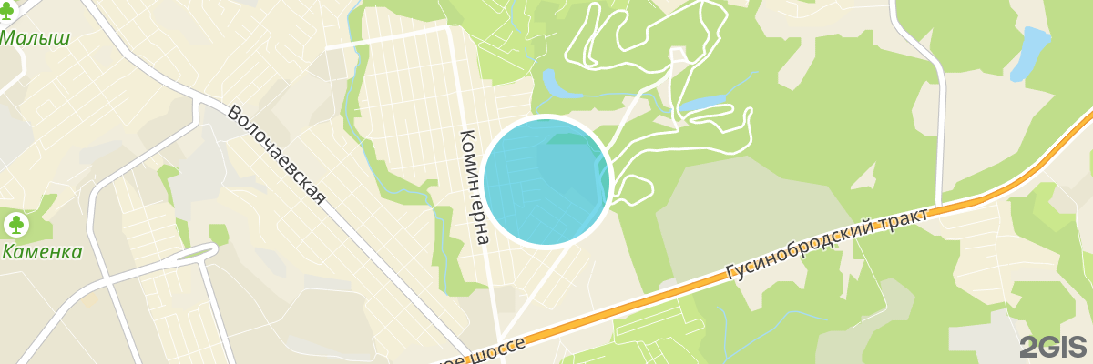 2gis map