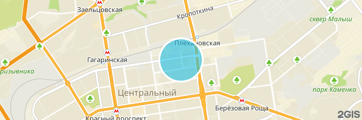 2gis map