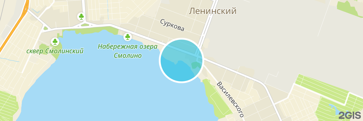 2gis map