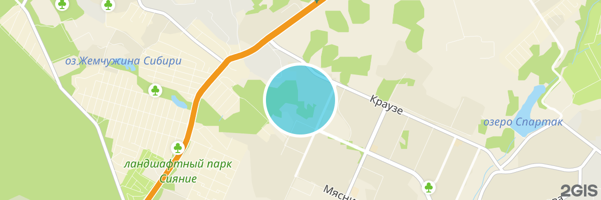 2gis map