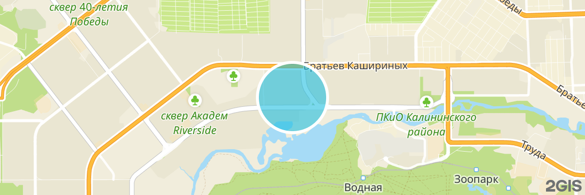 2gis map