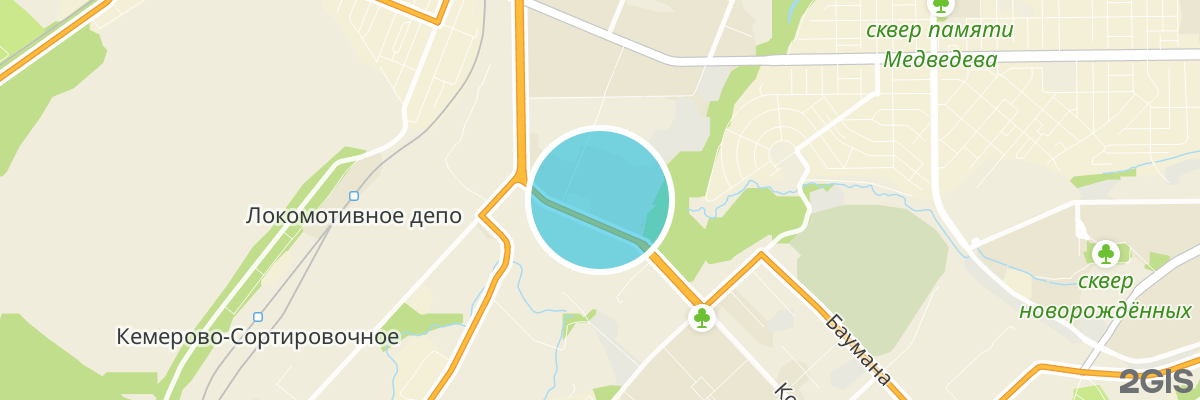 2gis map