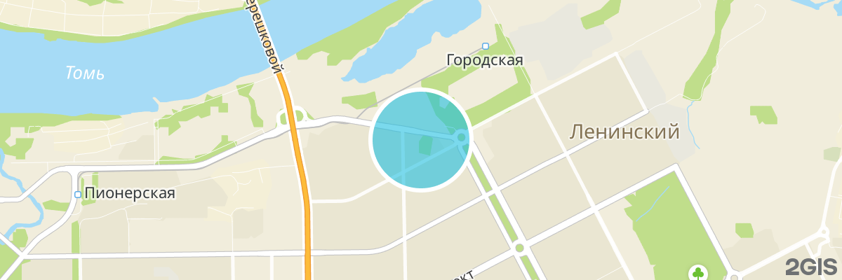 2gis map