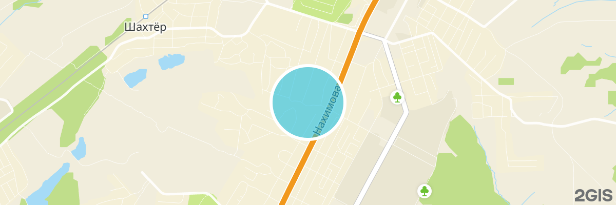 2gis map