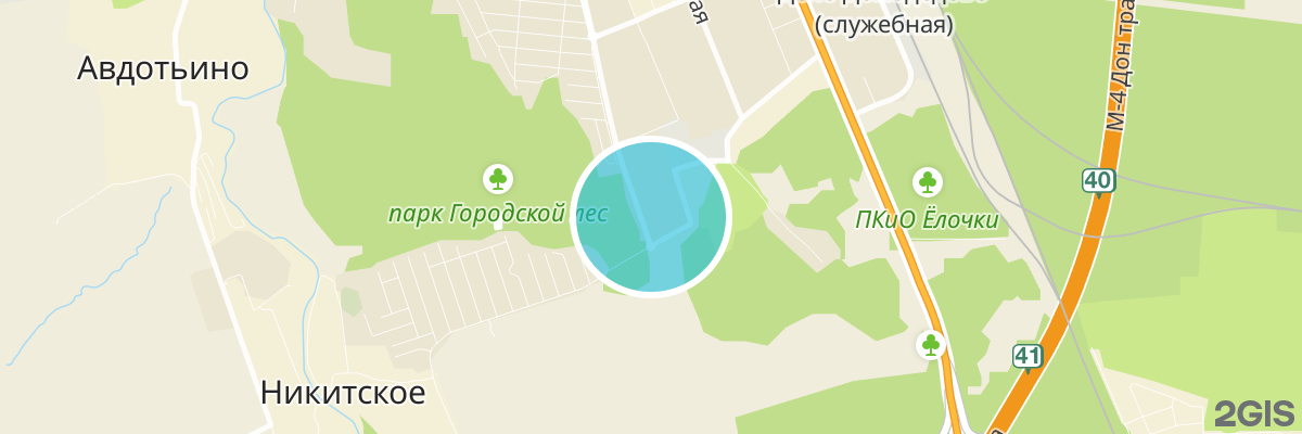 2gis map