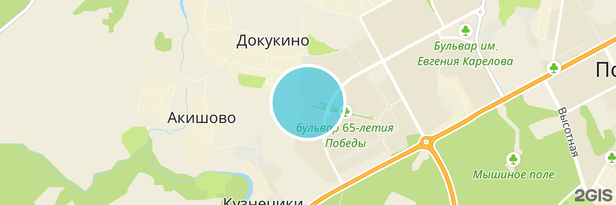 2gis map