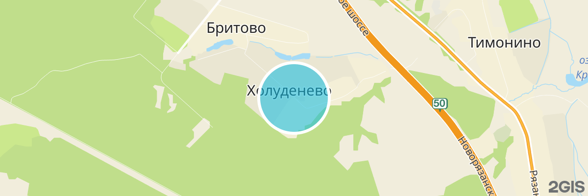 2gis map