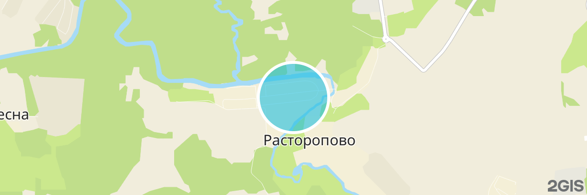 2gis map