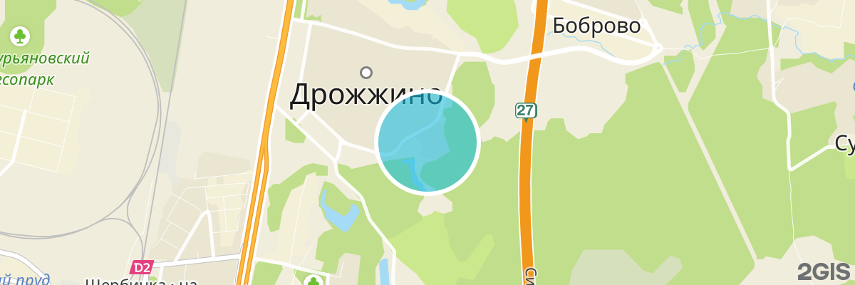 2gis map
