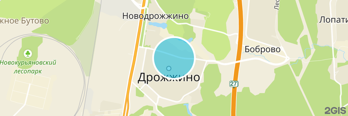 2gis map