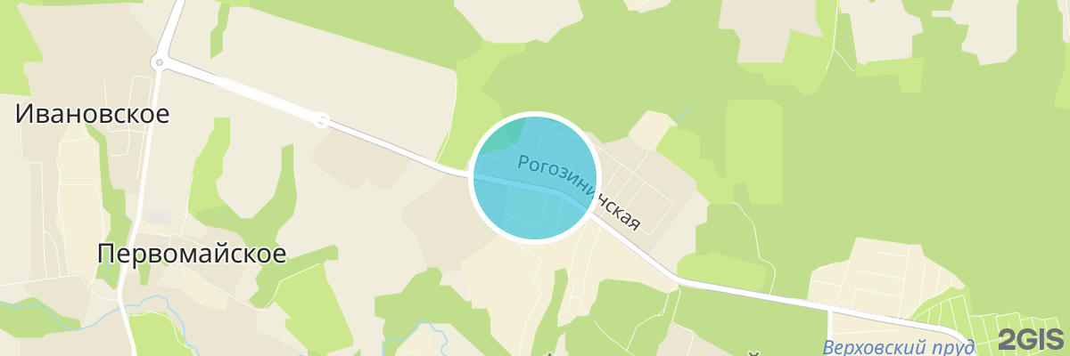 2gis map