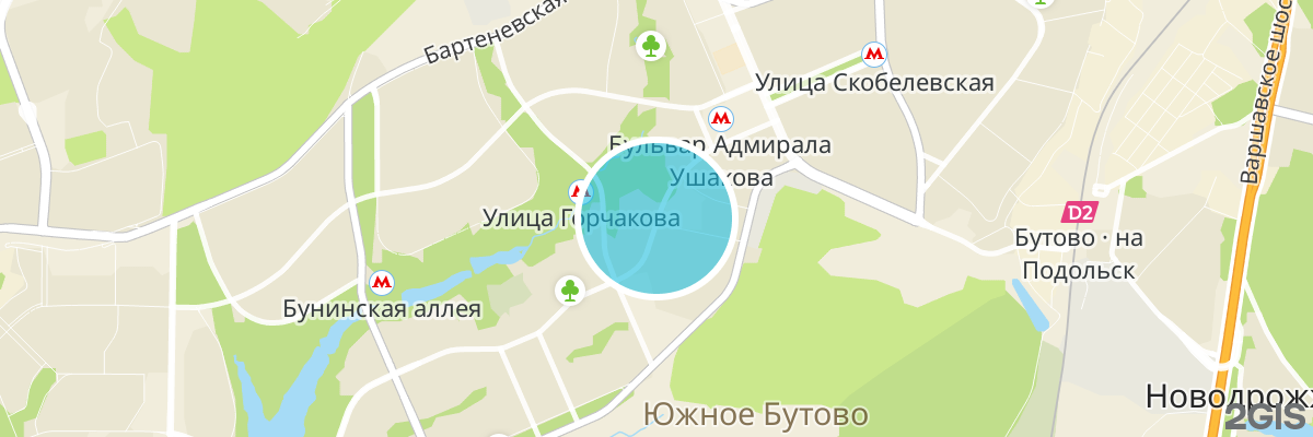 2gis map