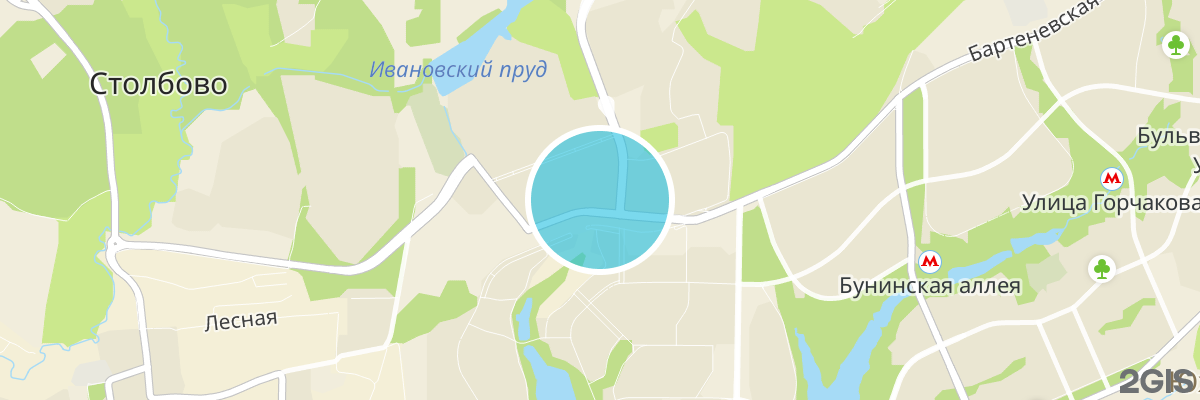 2gis map