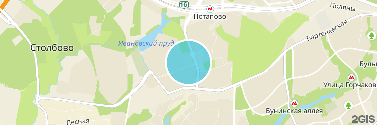 2gis map