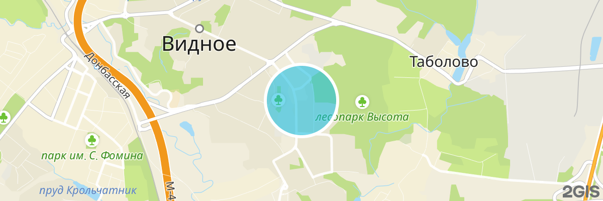 2gis map