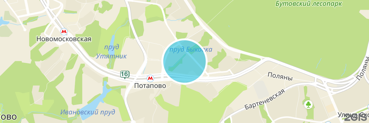 2gis map