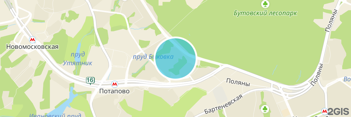 2gis map