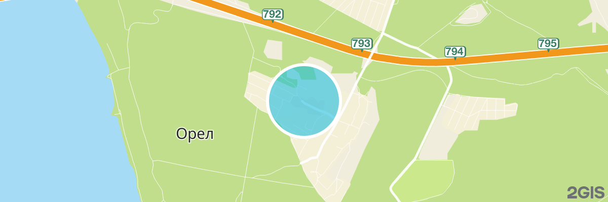 2gis map