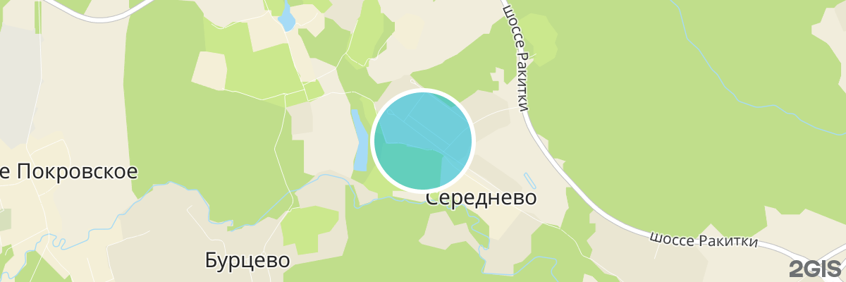 2gis map