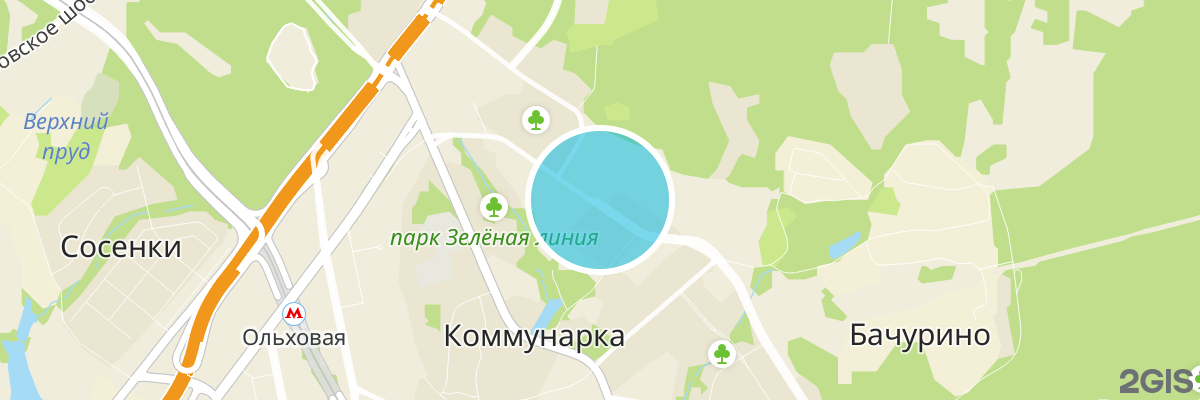 2gis map