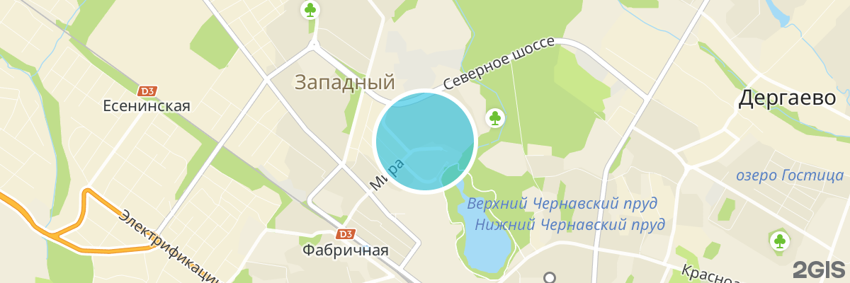 2gis map
