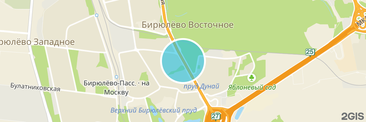 2gis map