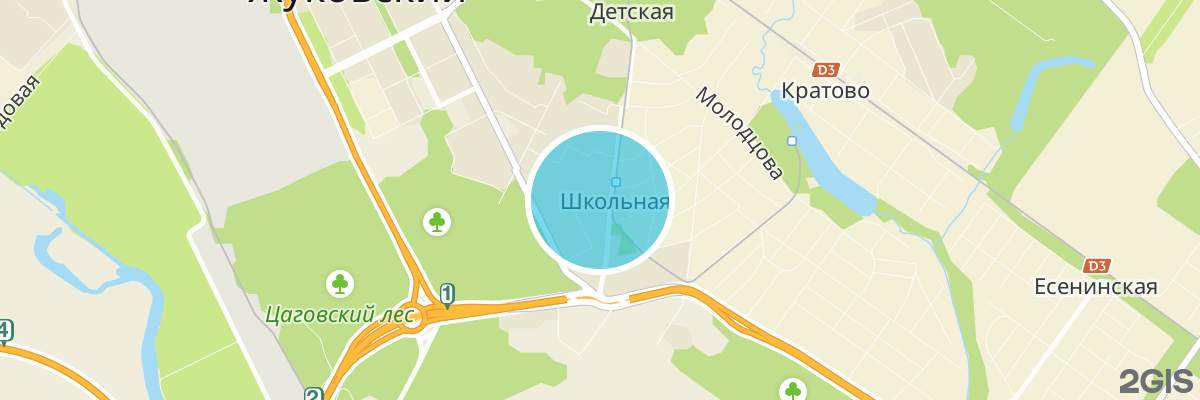 2gis map