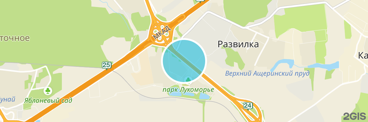 2gis map