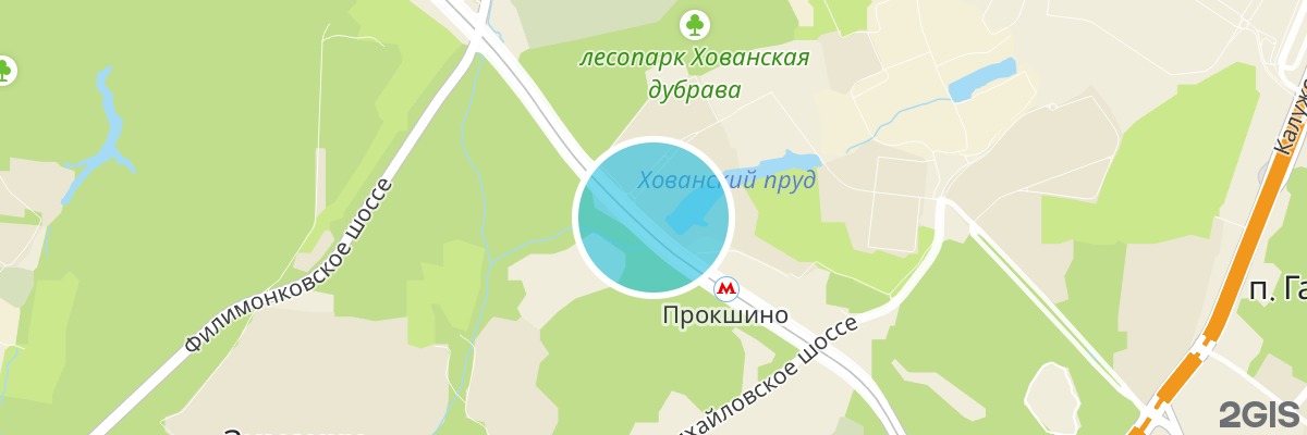 2gis map