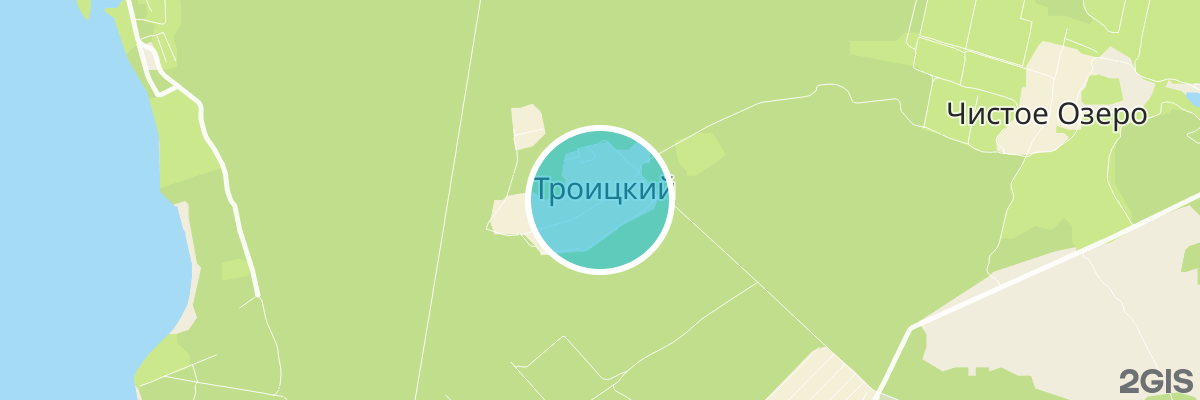 2gis map