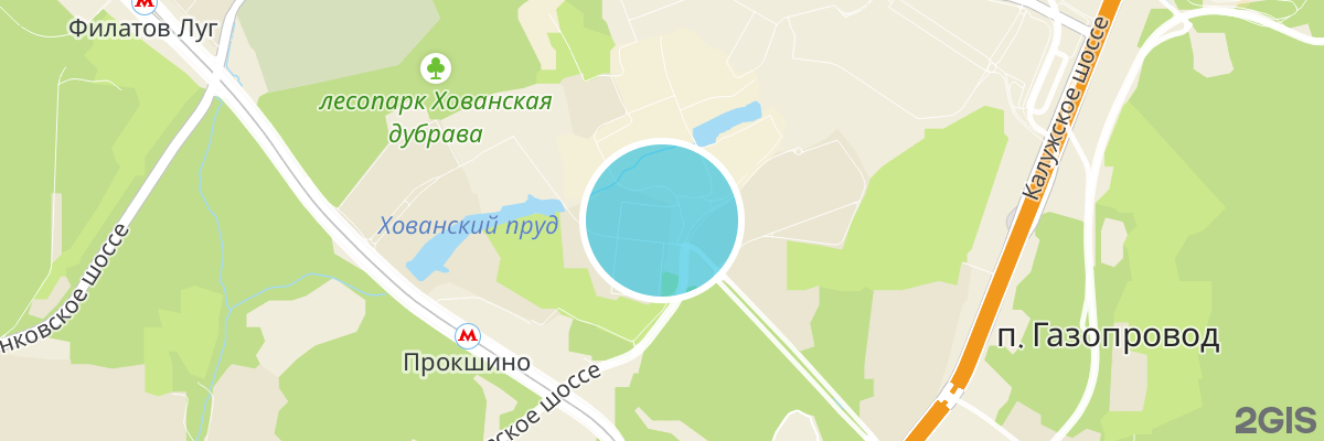 2gis map