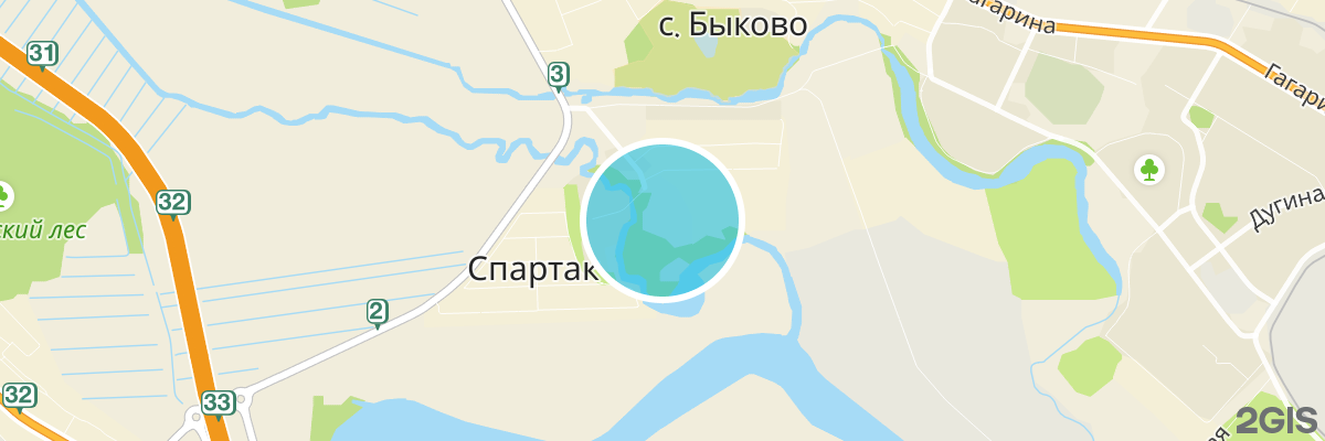 2gis map