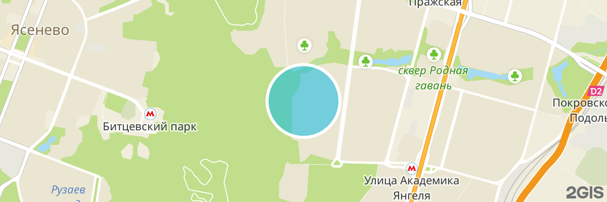 2gis map