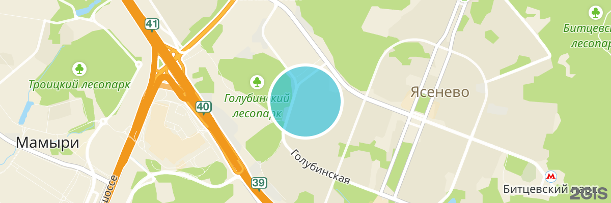 2gis map
