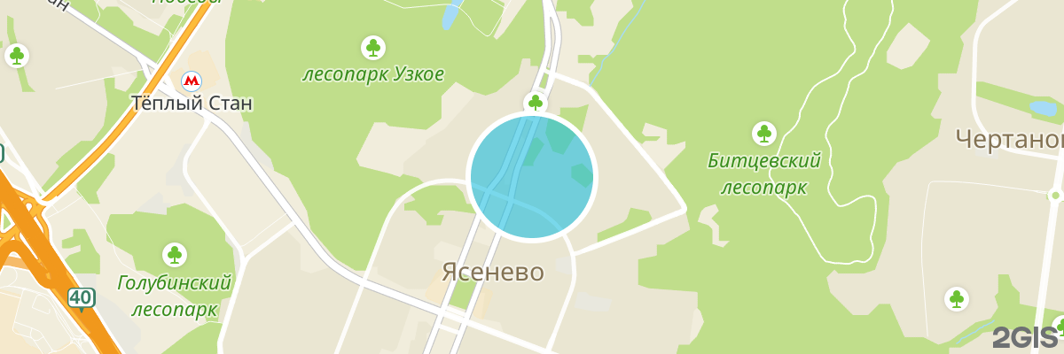 2gis map