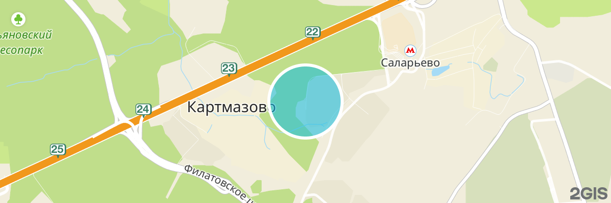 2gis map