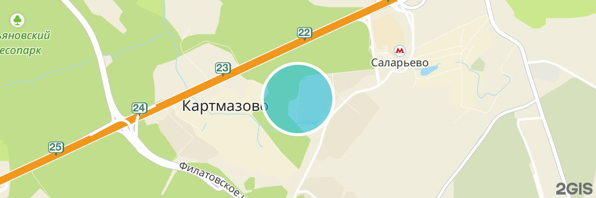 2gis map