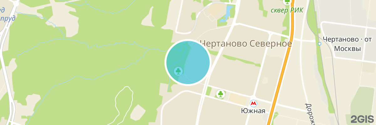 2gis map