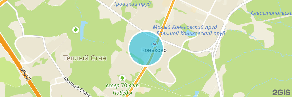 2gis map