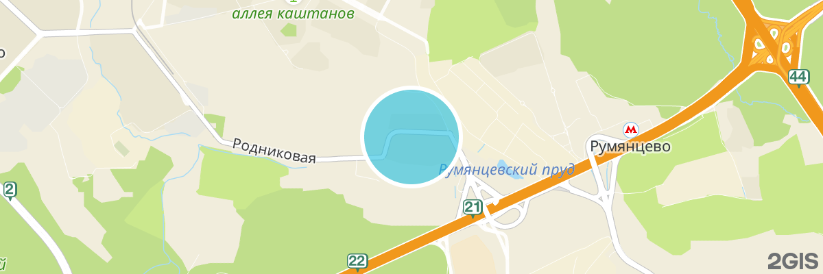 2gis map