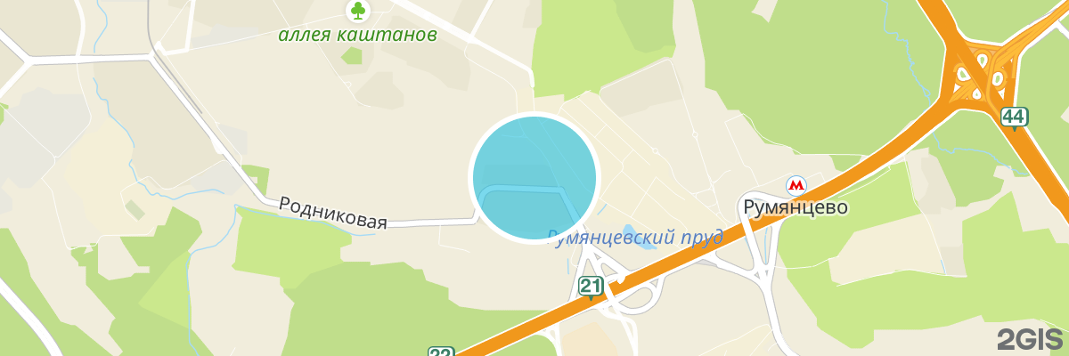 2gis map