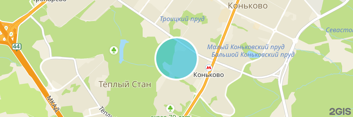 2gis map