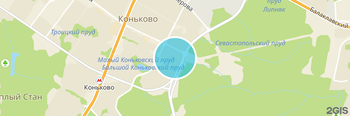 2gis map