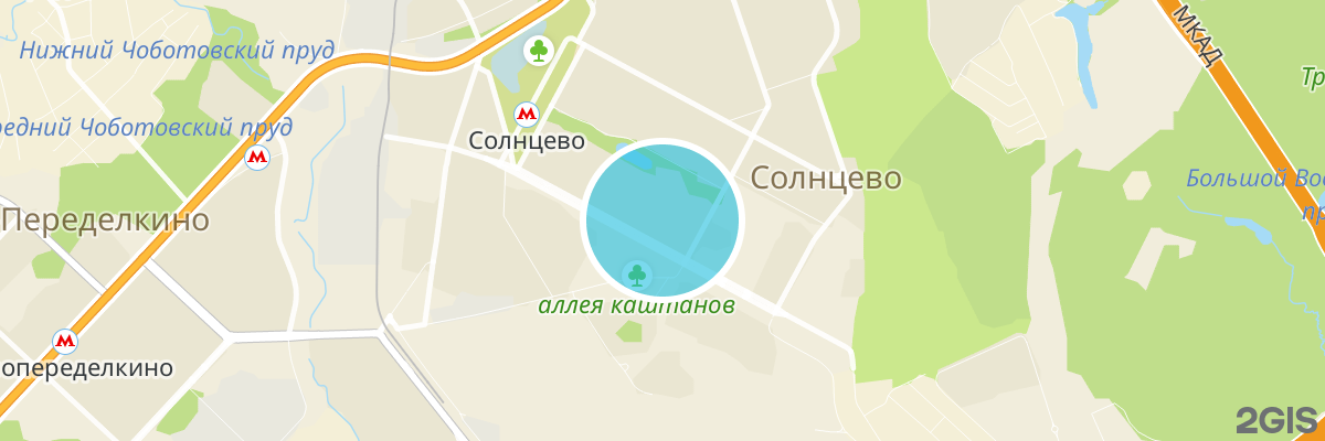 2gis map