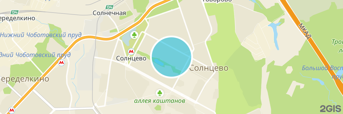 2gis map